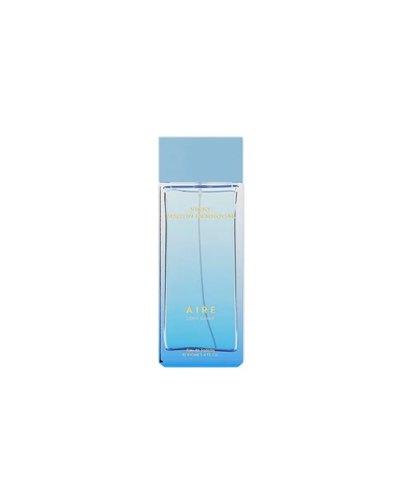 Vicky Martin Berrocal Vicky M Aire Edt 100ml